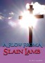A Flow From A Slain Lamb - 4 Message Audio Series